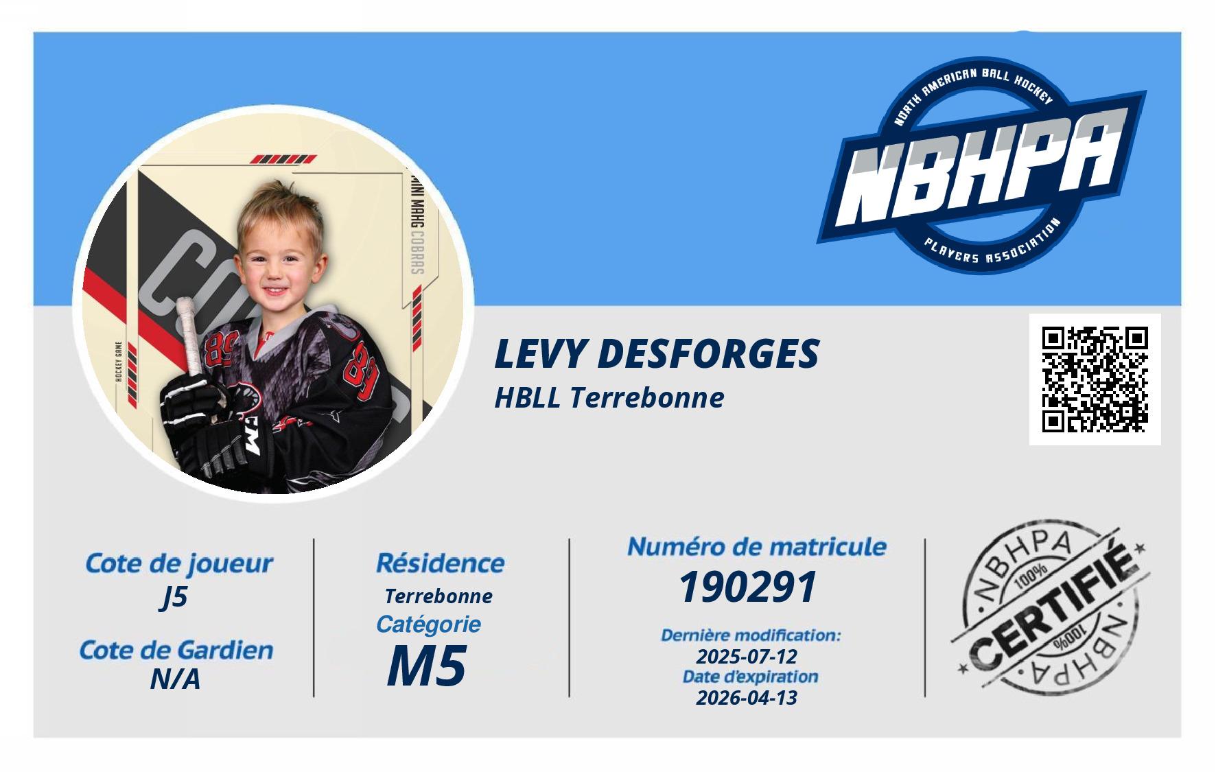 Levy Desforges