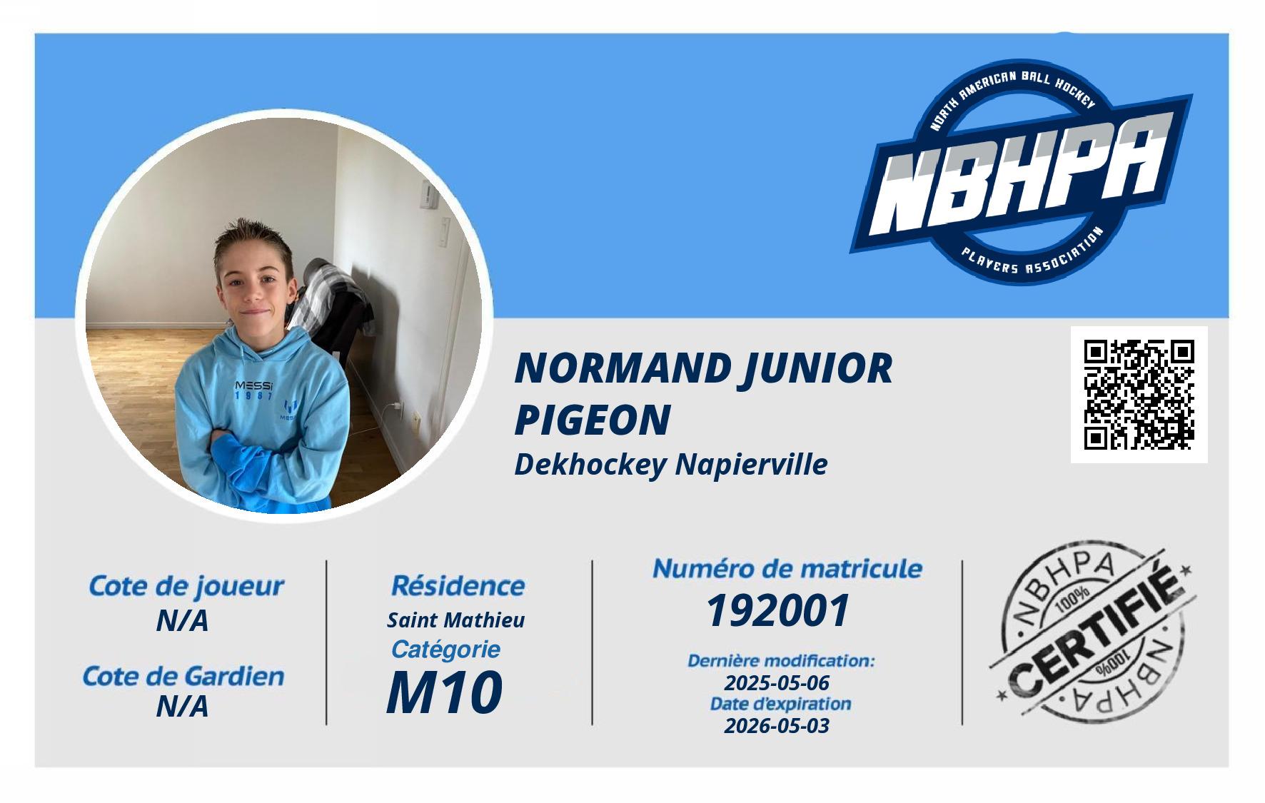 Normand Junior Pigeon