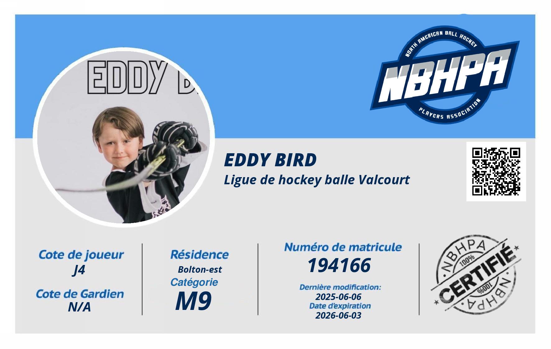 Eddy Bird