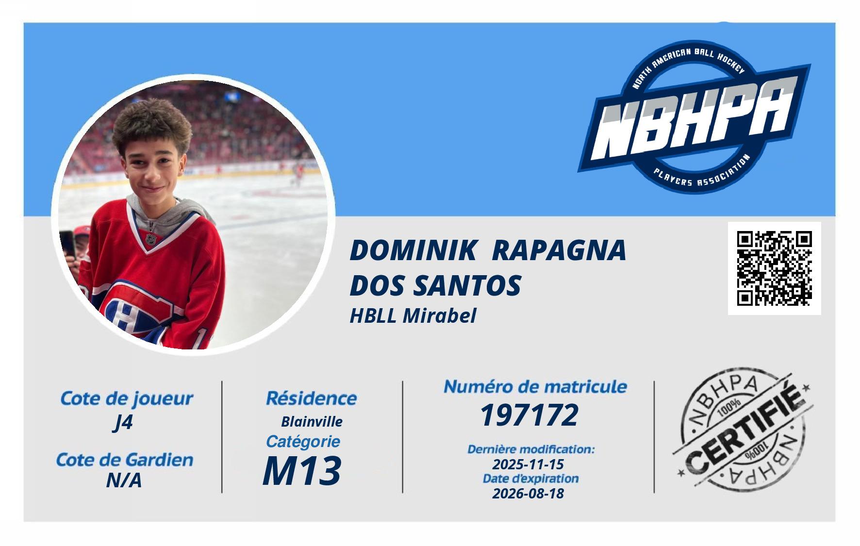 Dominik  Rapagna dos santos