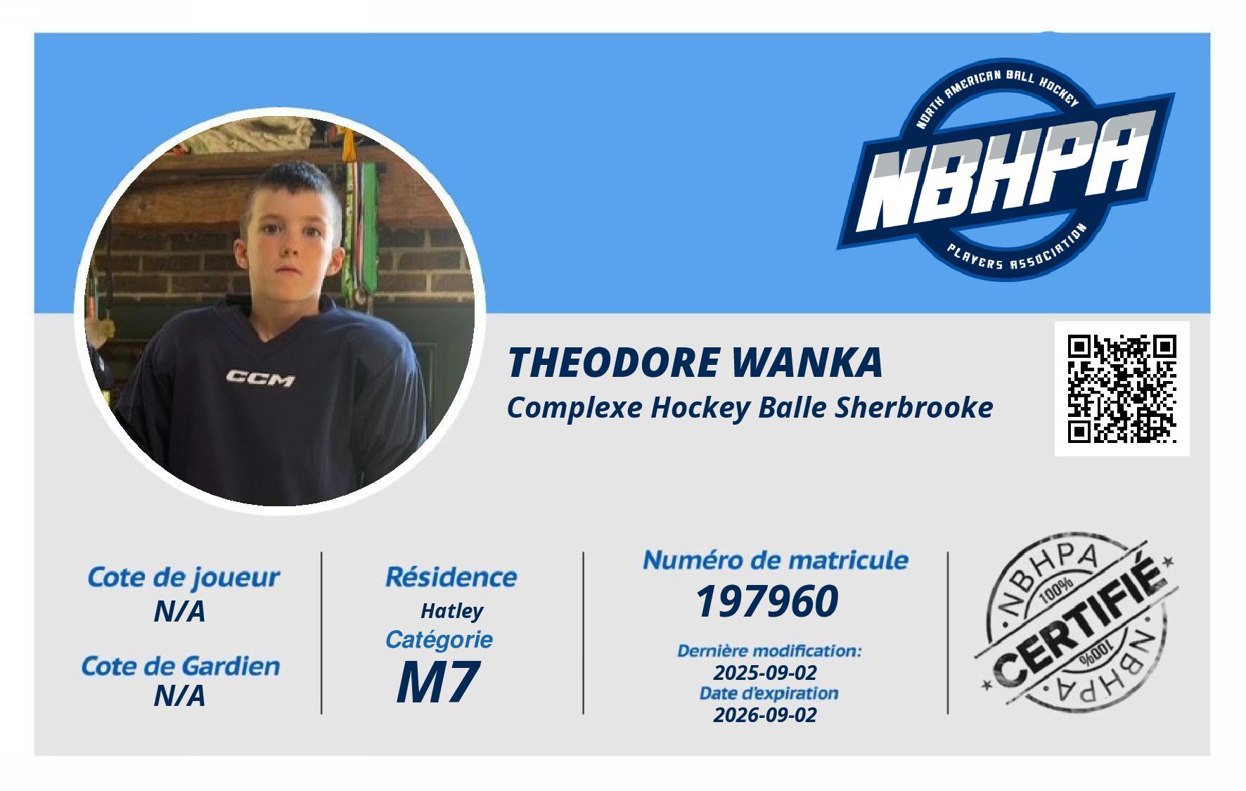 Theodore Wanka