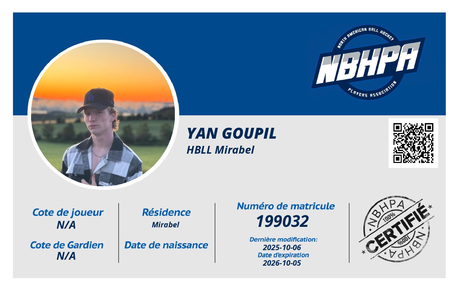 Yan Goupil