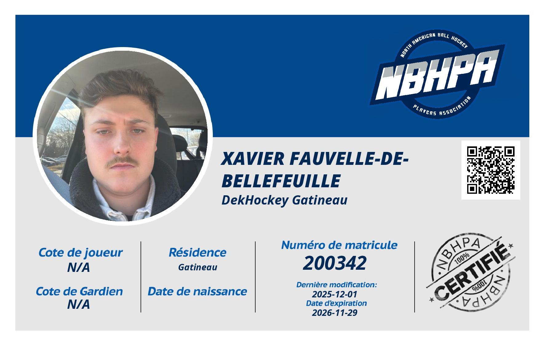 Xavier Fauvelle-De-Bellefeuille