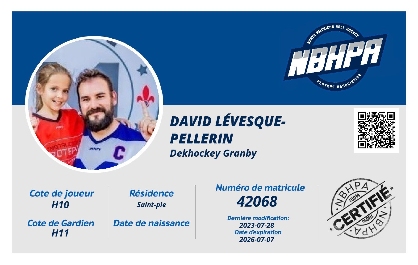David Lévesque-Pellerin