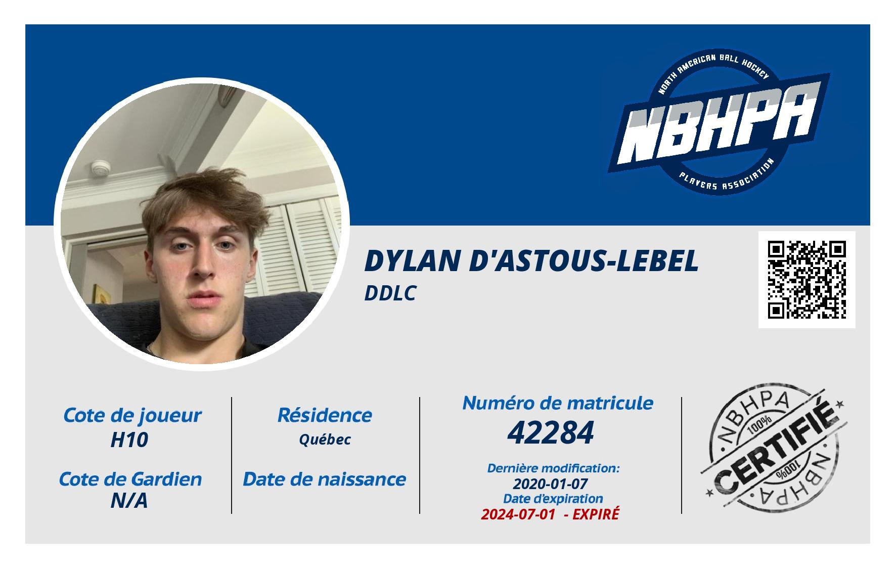 Dylan D'Astous-Lebel