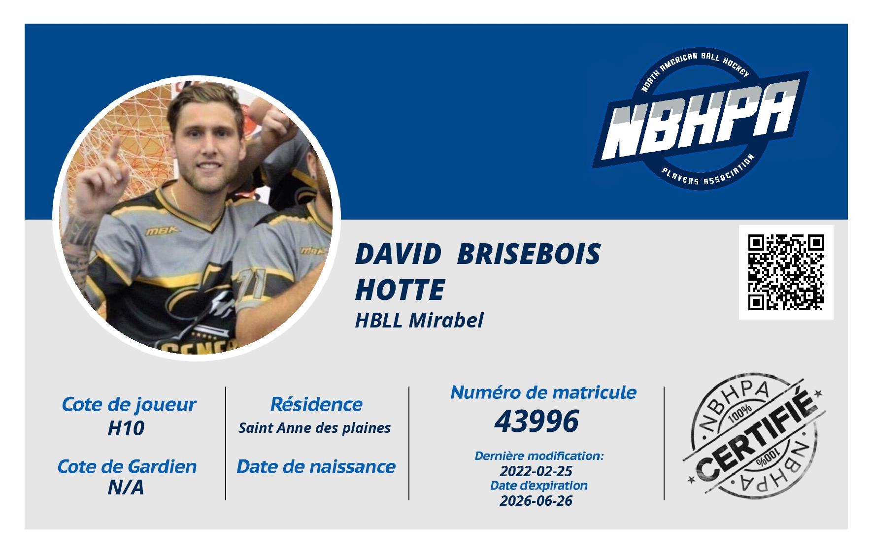 David  Brisebois Hotte