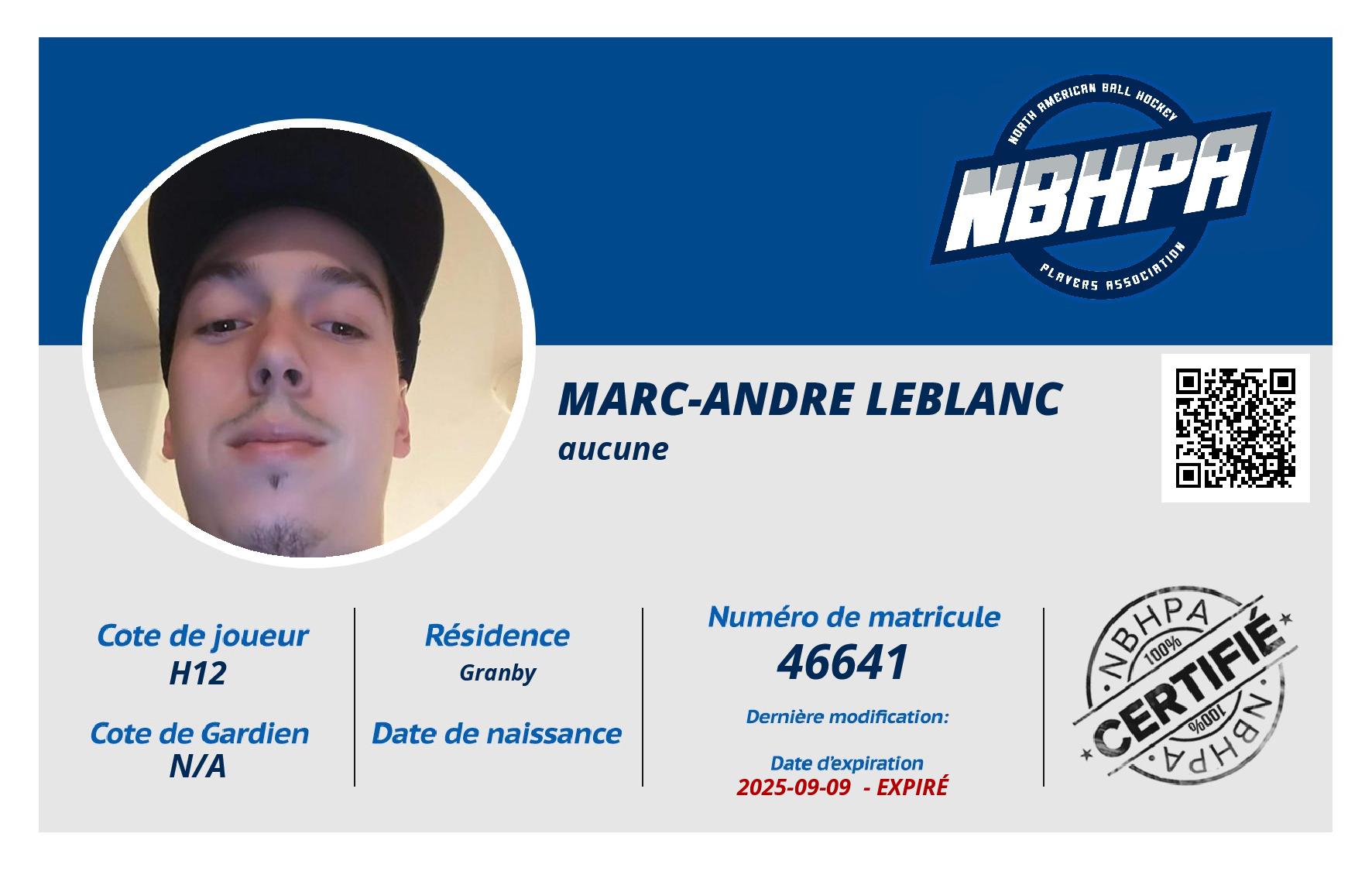 Marc-andre leblanc