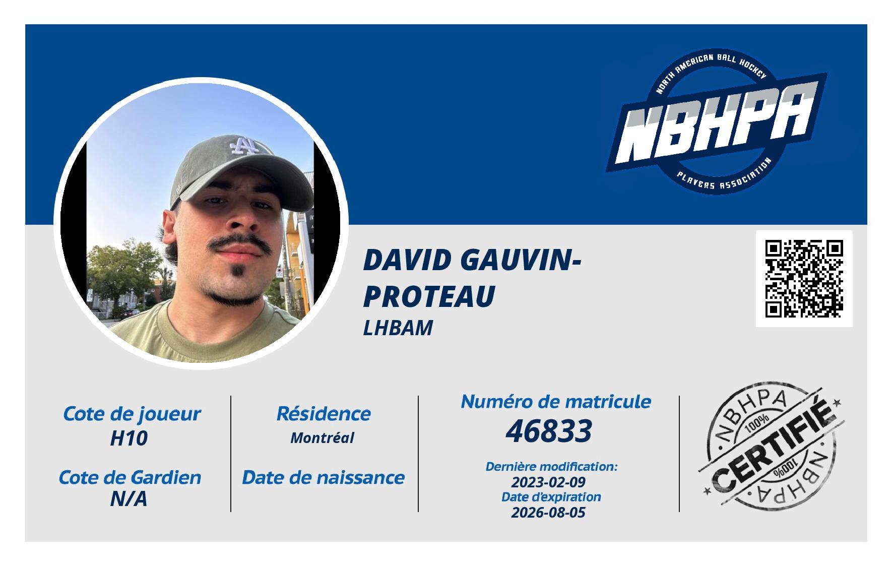 David Gauvin-Proteau