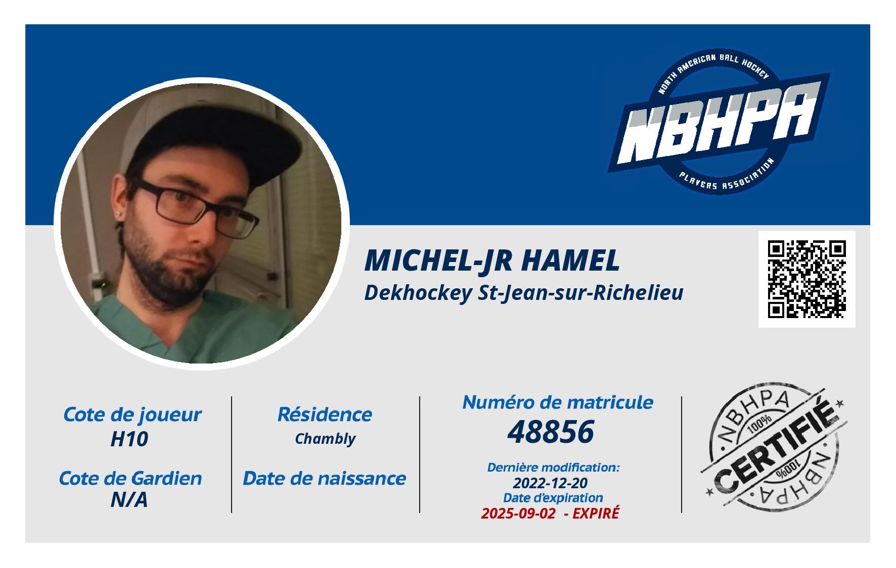 Michel-Jr Hamel 