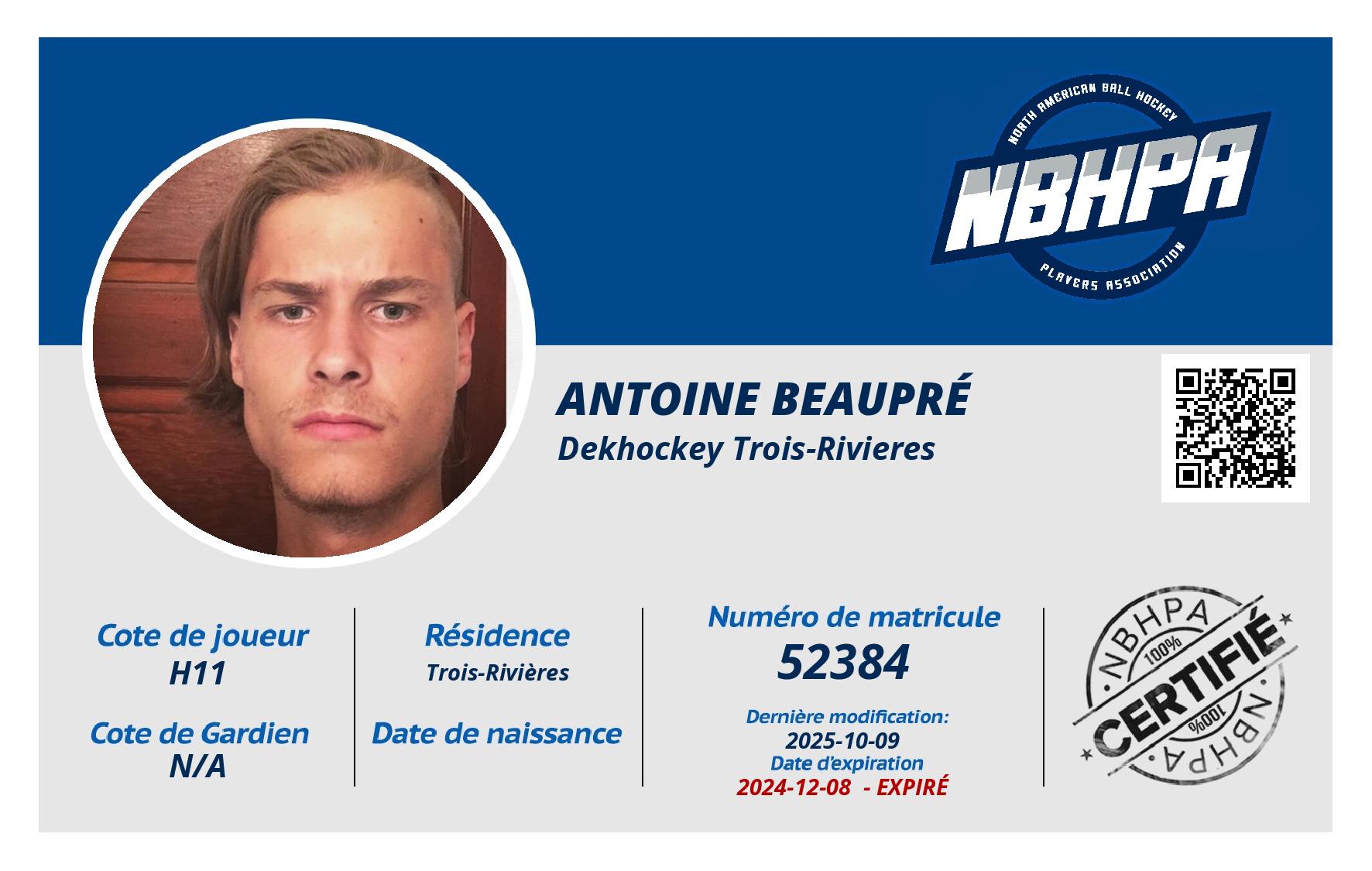 Antoine Beaupré
