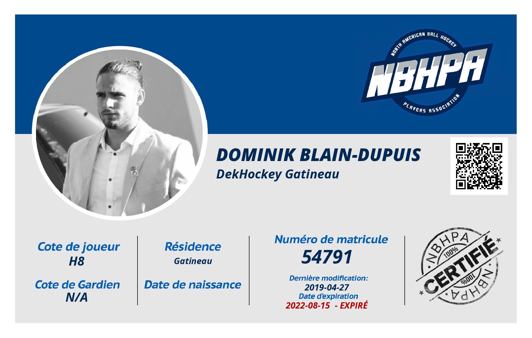 Dominik Blain-Dupuis