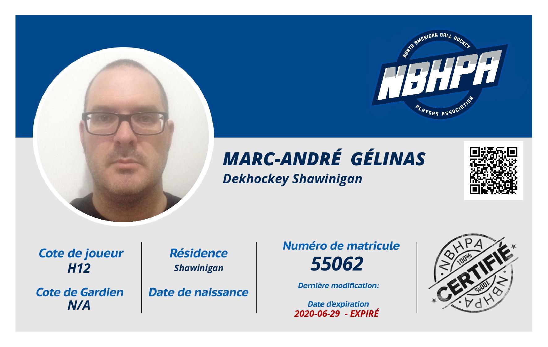 Marc-André  Gélinas