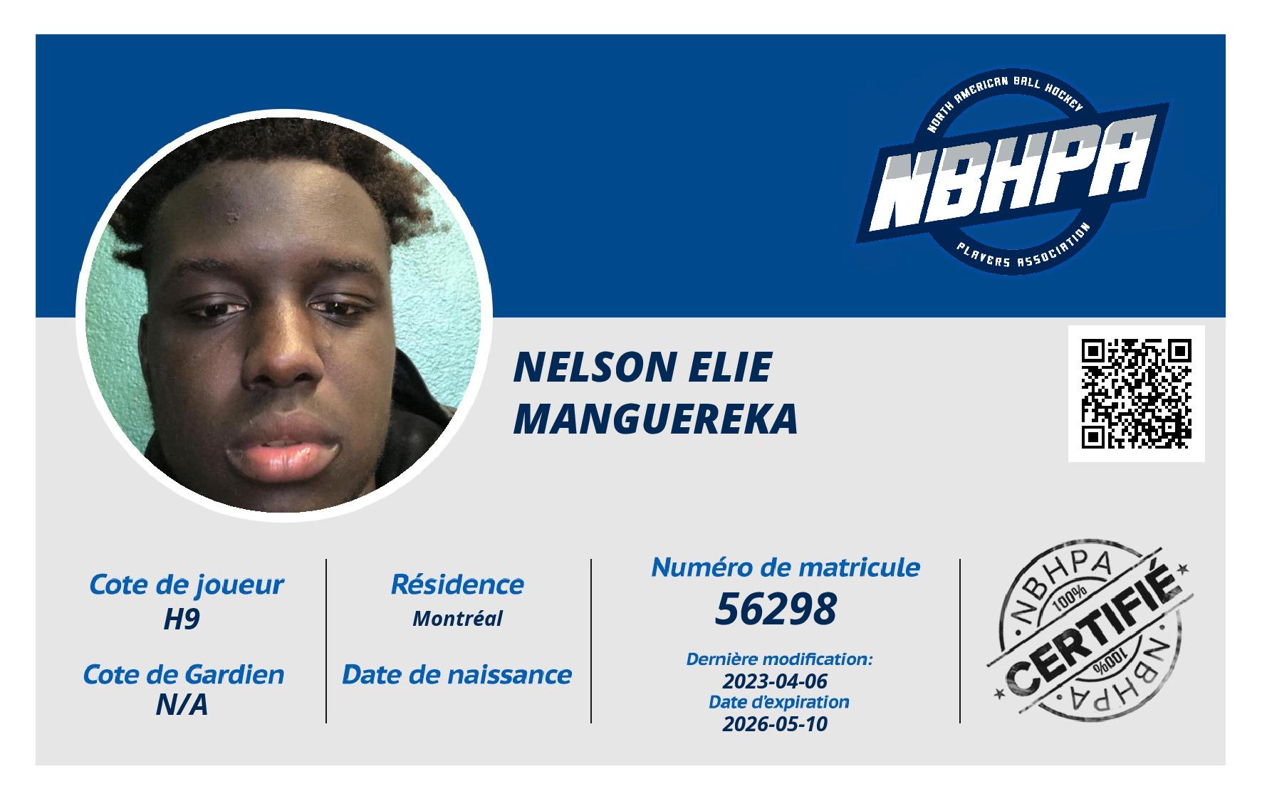 Nelson Elie Manguereka
