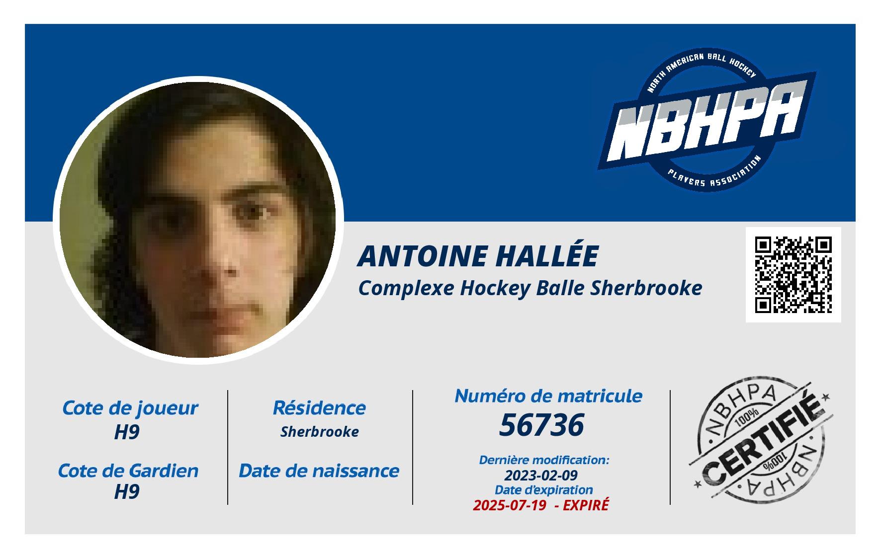 Antoine Hallée