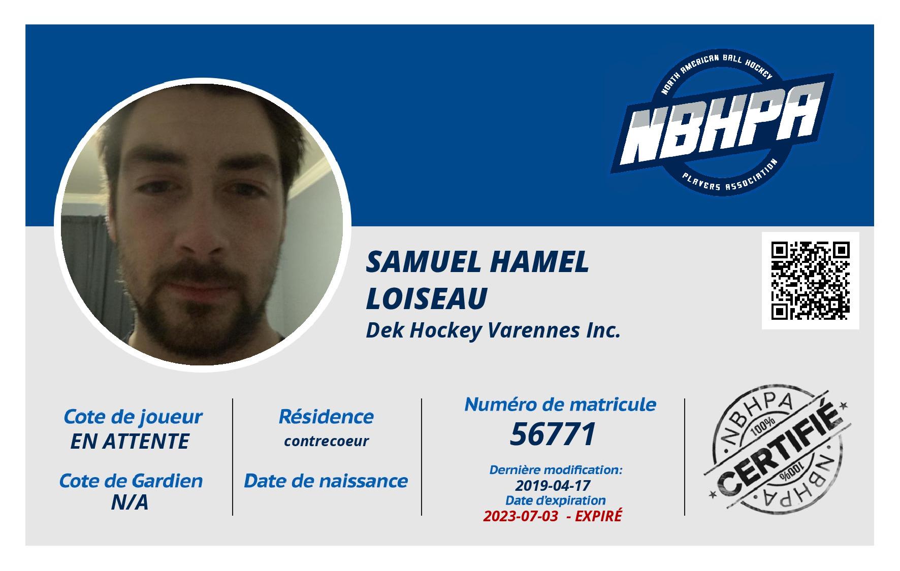 Samuel Hamel Loiseau