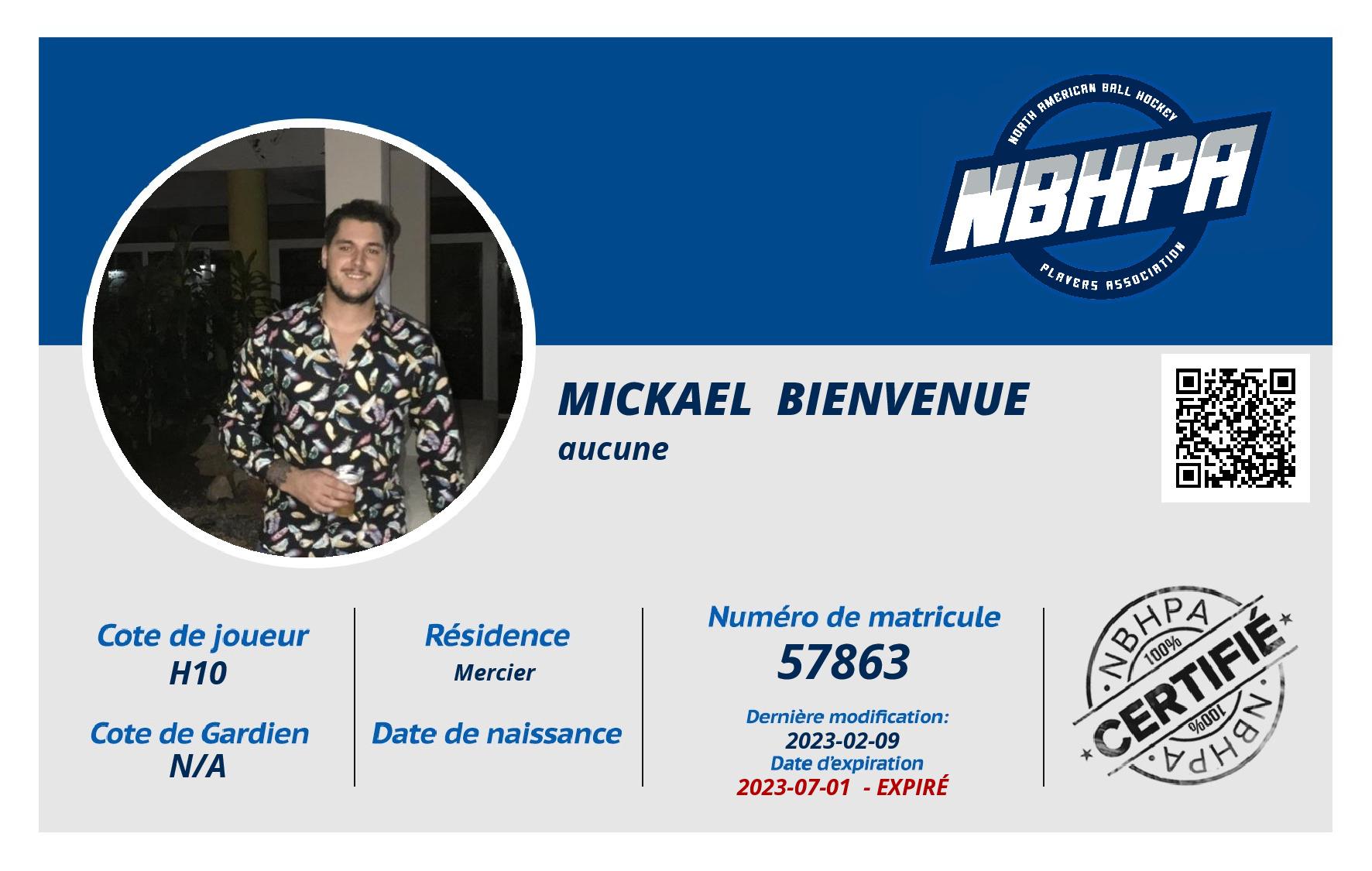 Mickael  Bienvenue 