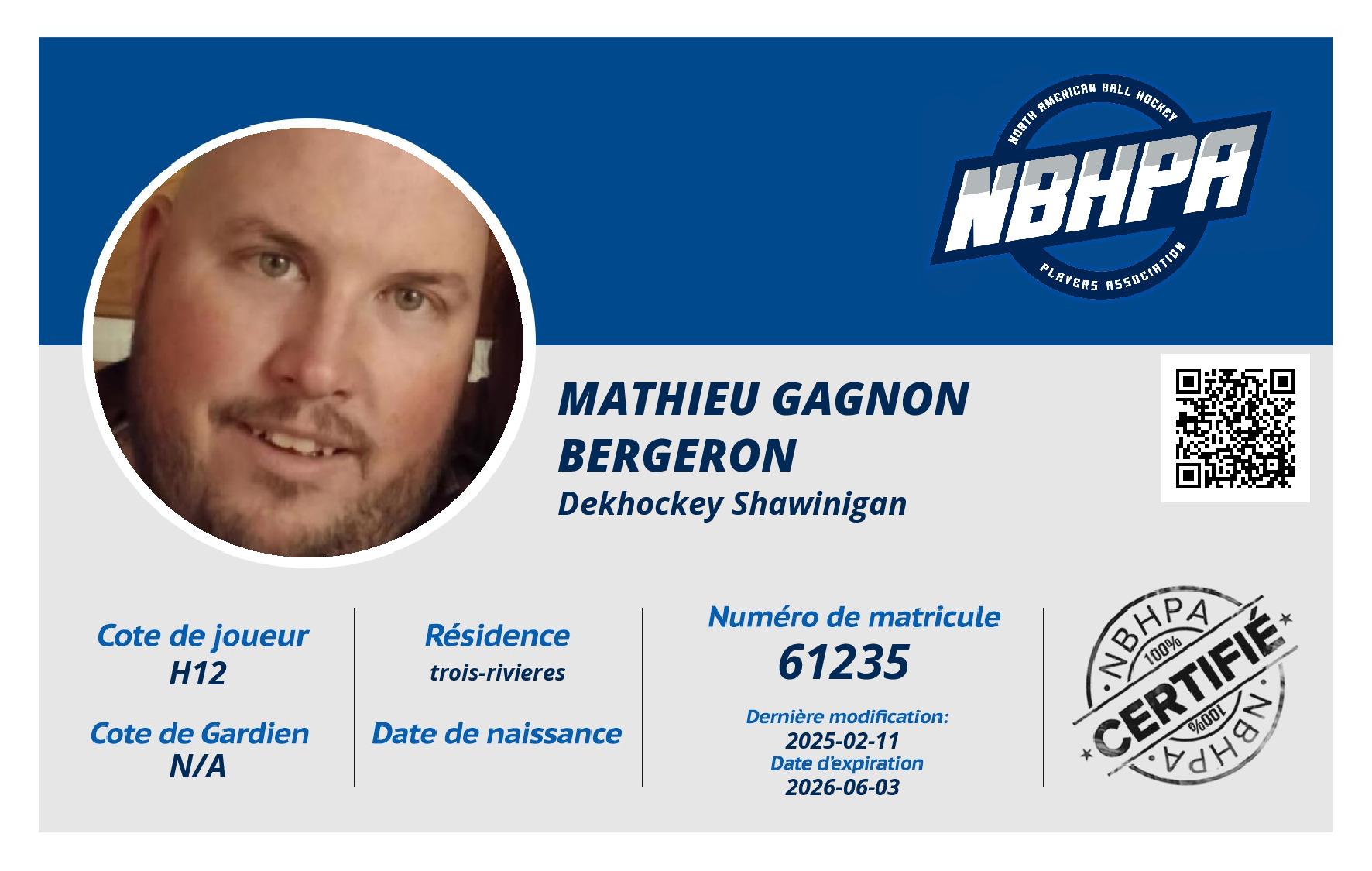 Mathieu Gagnon Bergeron