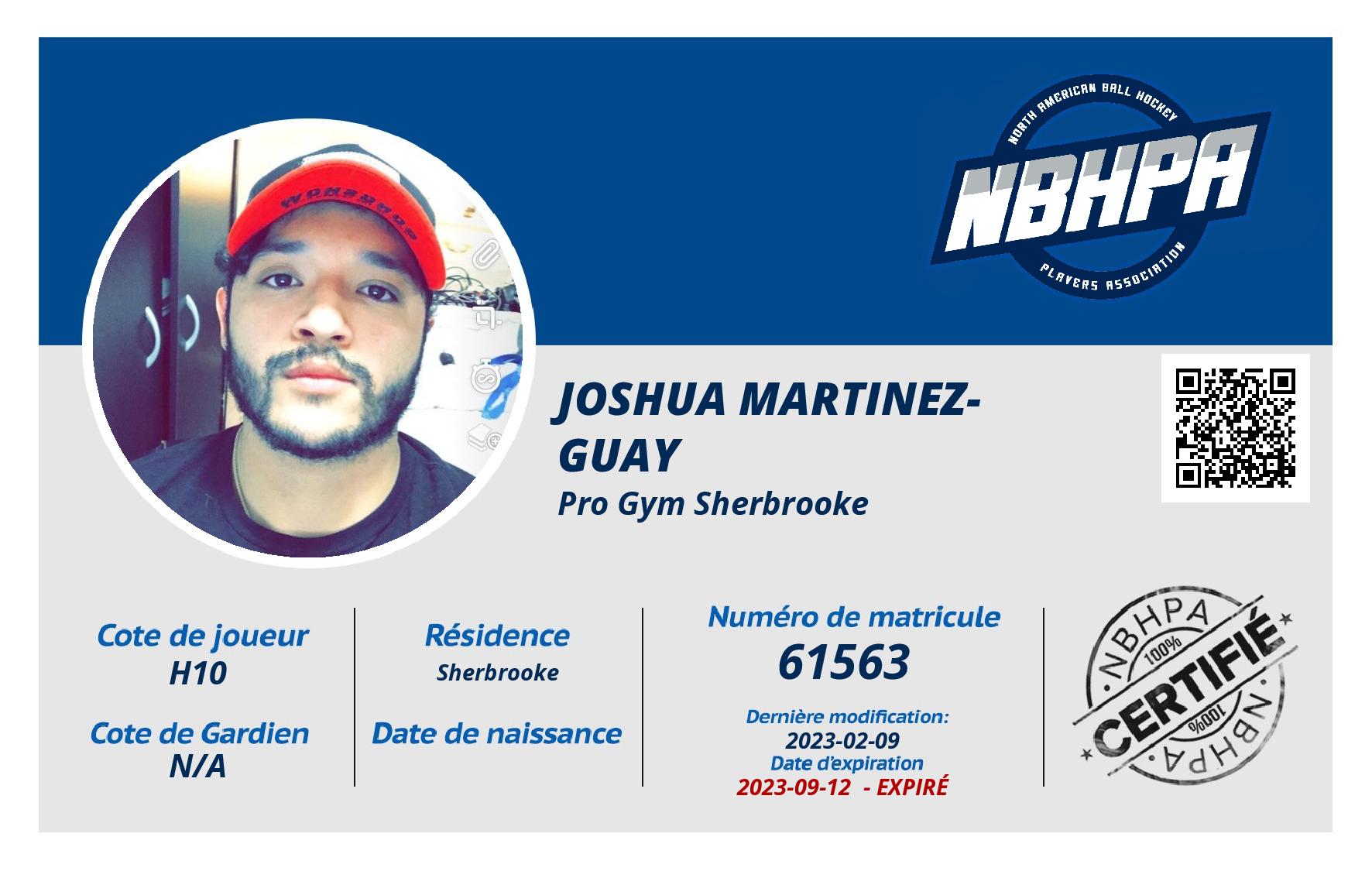 Joshua Martinez-Guay