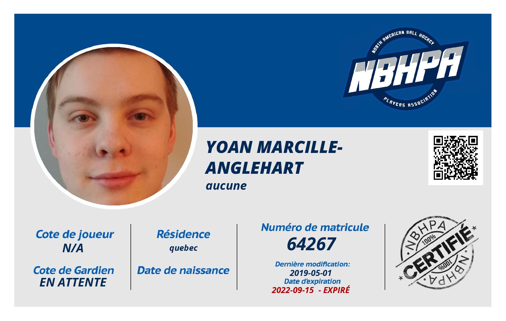 Yoan marcille-anglehart