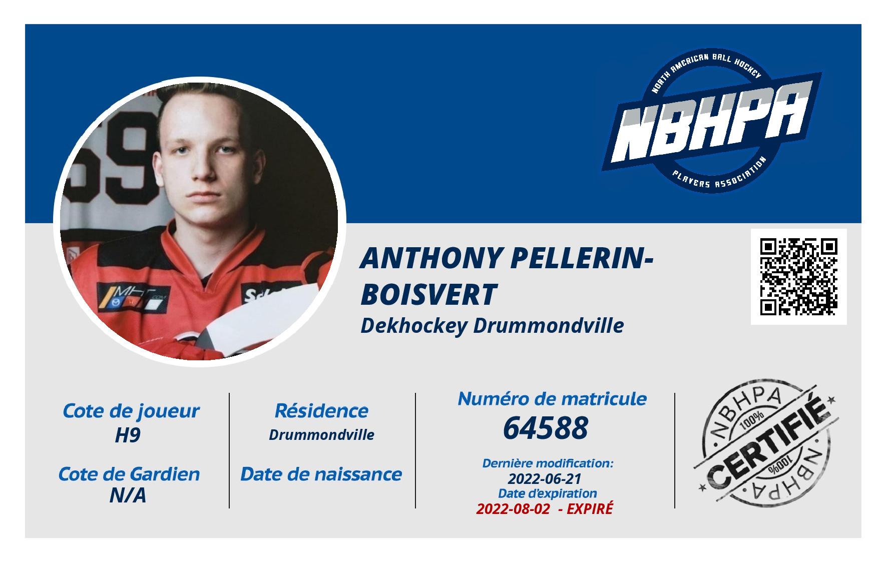 Anthony Pellerin-Boisvert