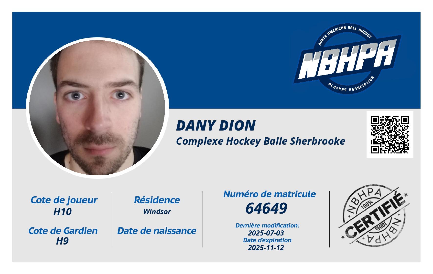 Dany Dion