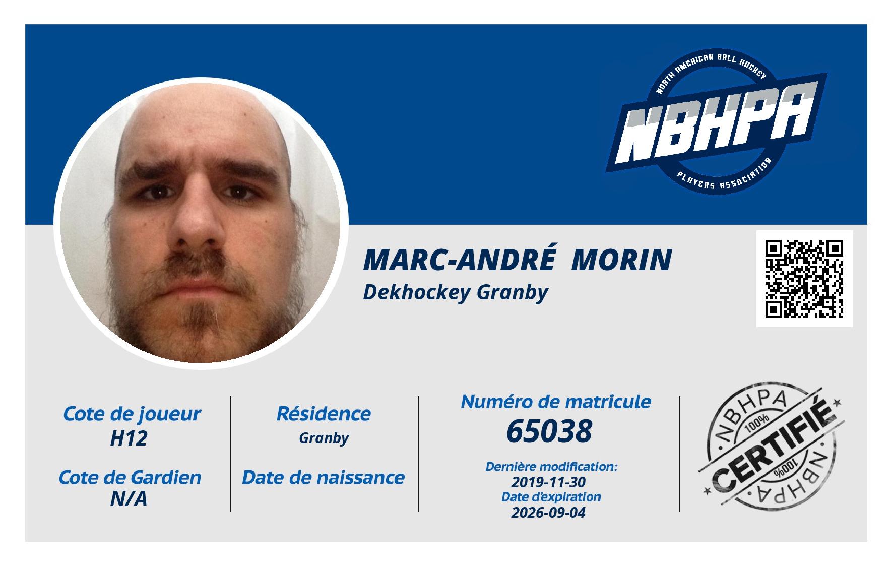 Marc-André  Morin