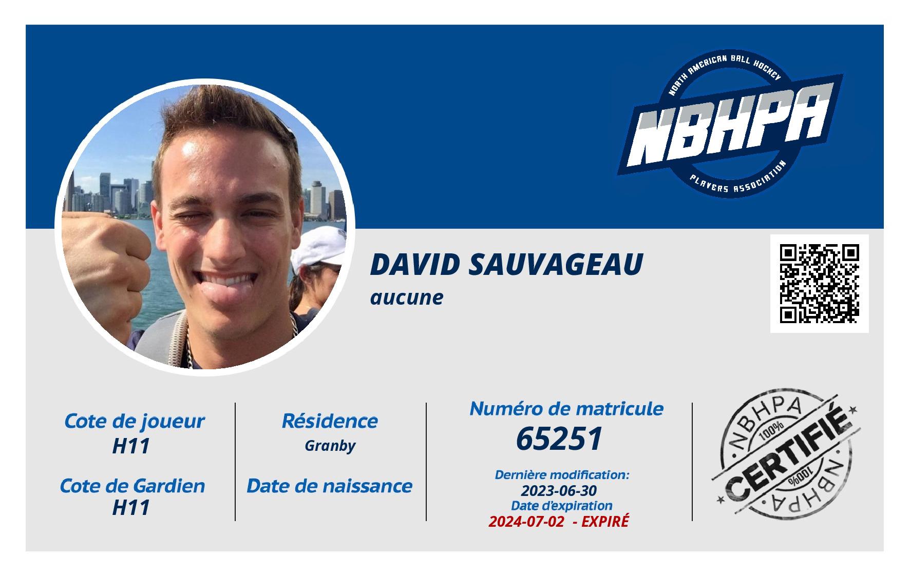 David Sauvageau