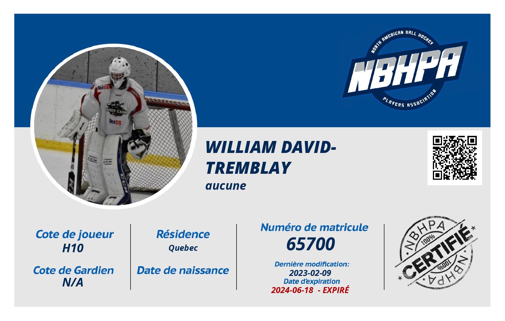 William David-Tremblay