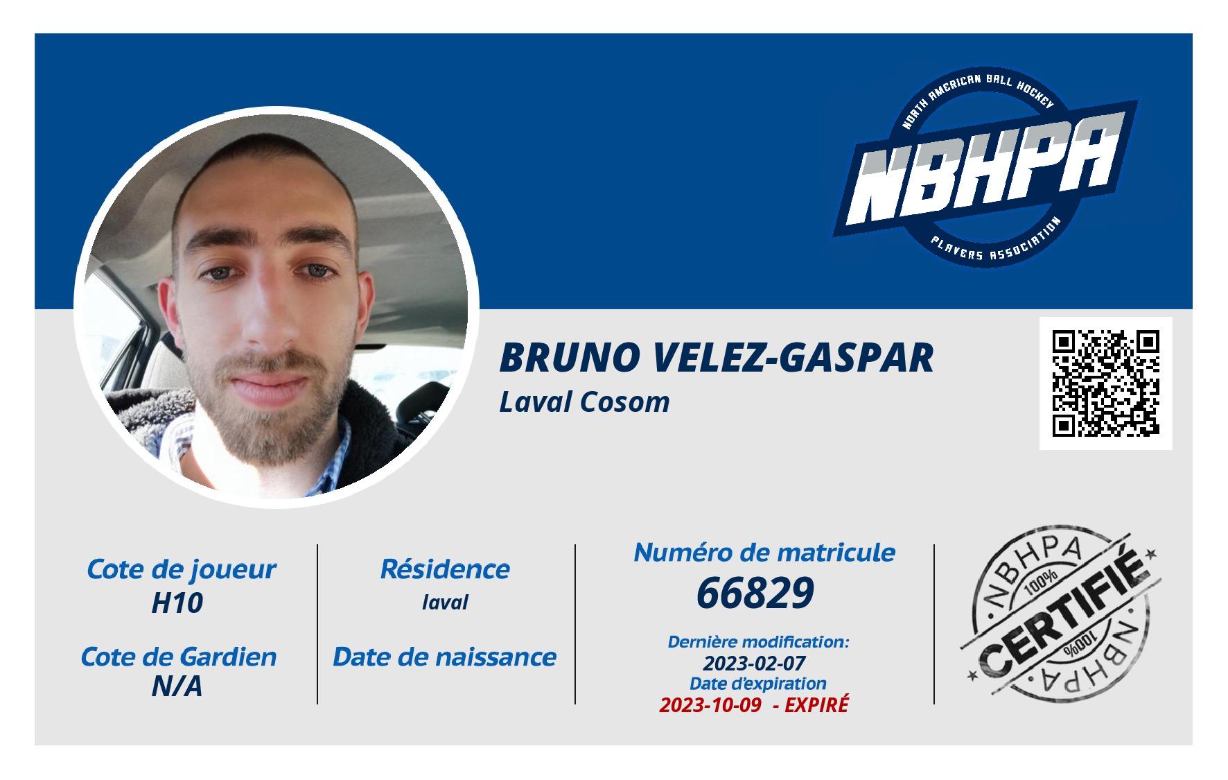 Bruno Velez-Gaspar