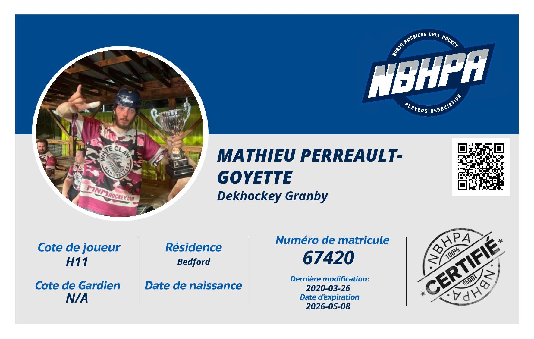 Mathieu Perreault-Goyette