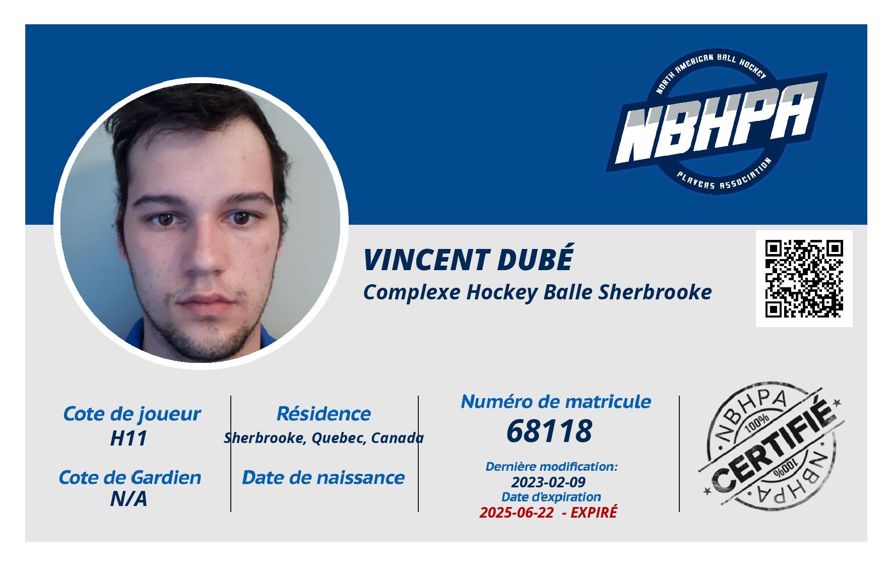 Vincent Dubé