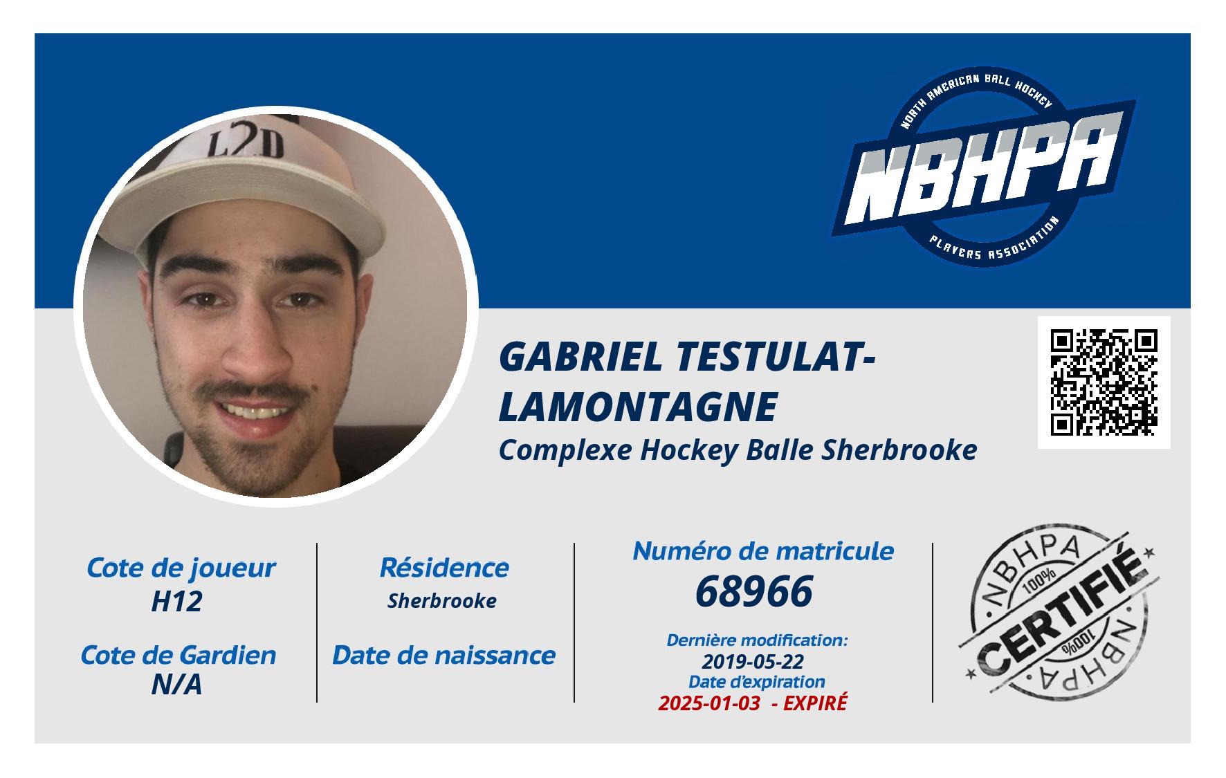 Gabriel Testulat-Lamontagne