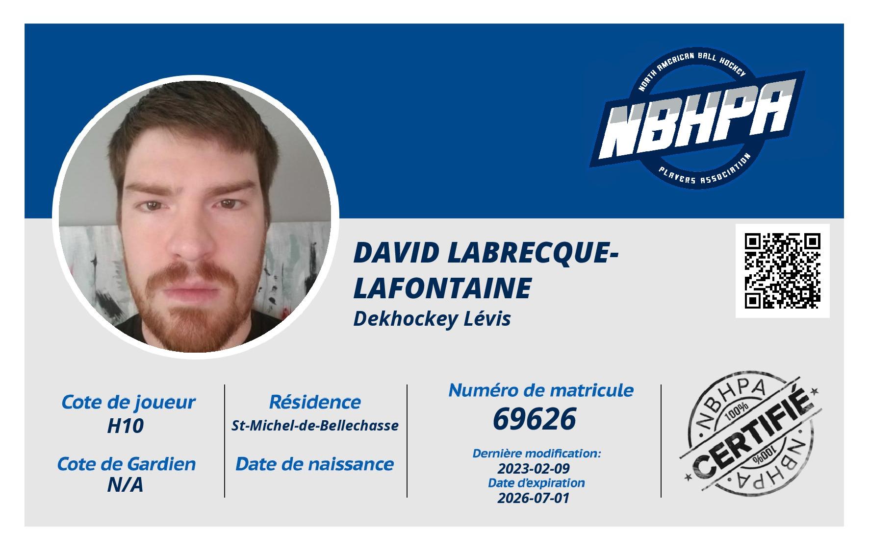 David Labrecque-Lafontaine