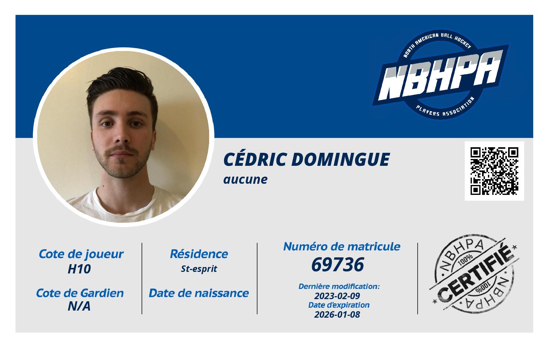 Cédric Domingue