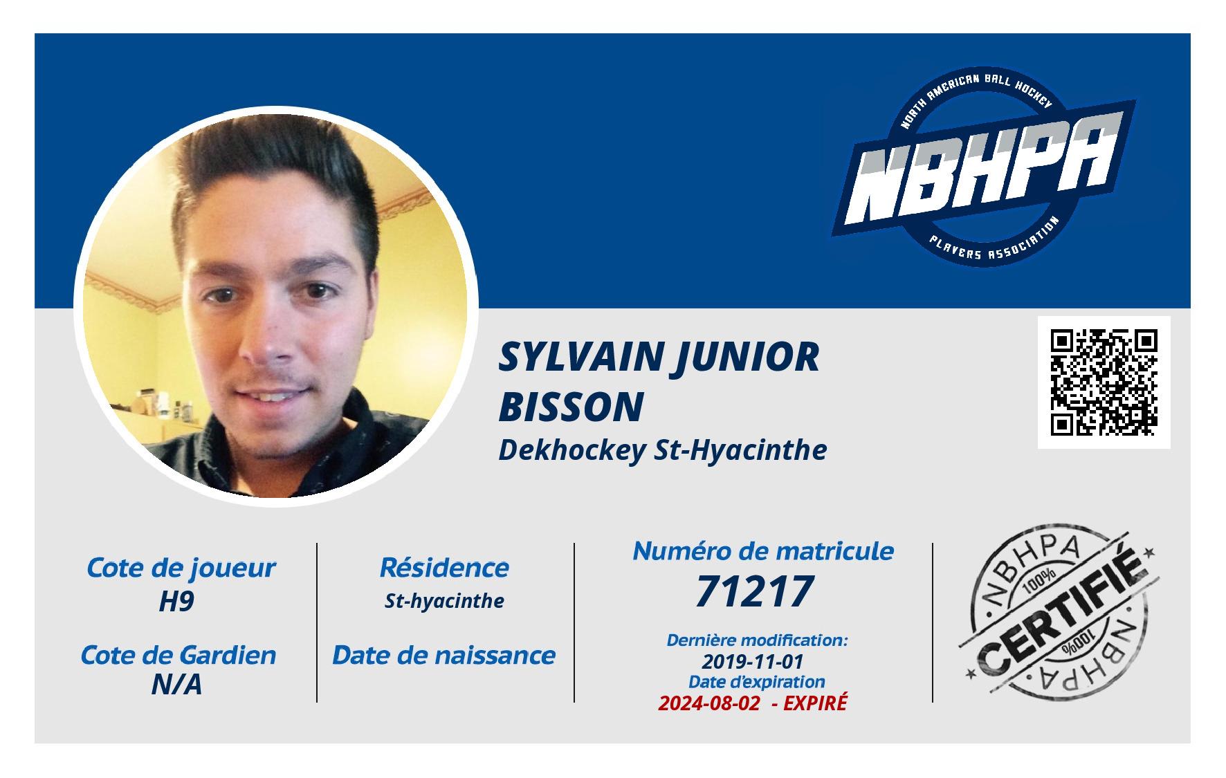 Sylvain Junior Bisson