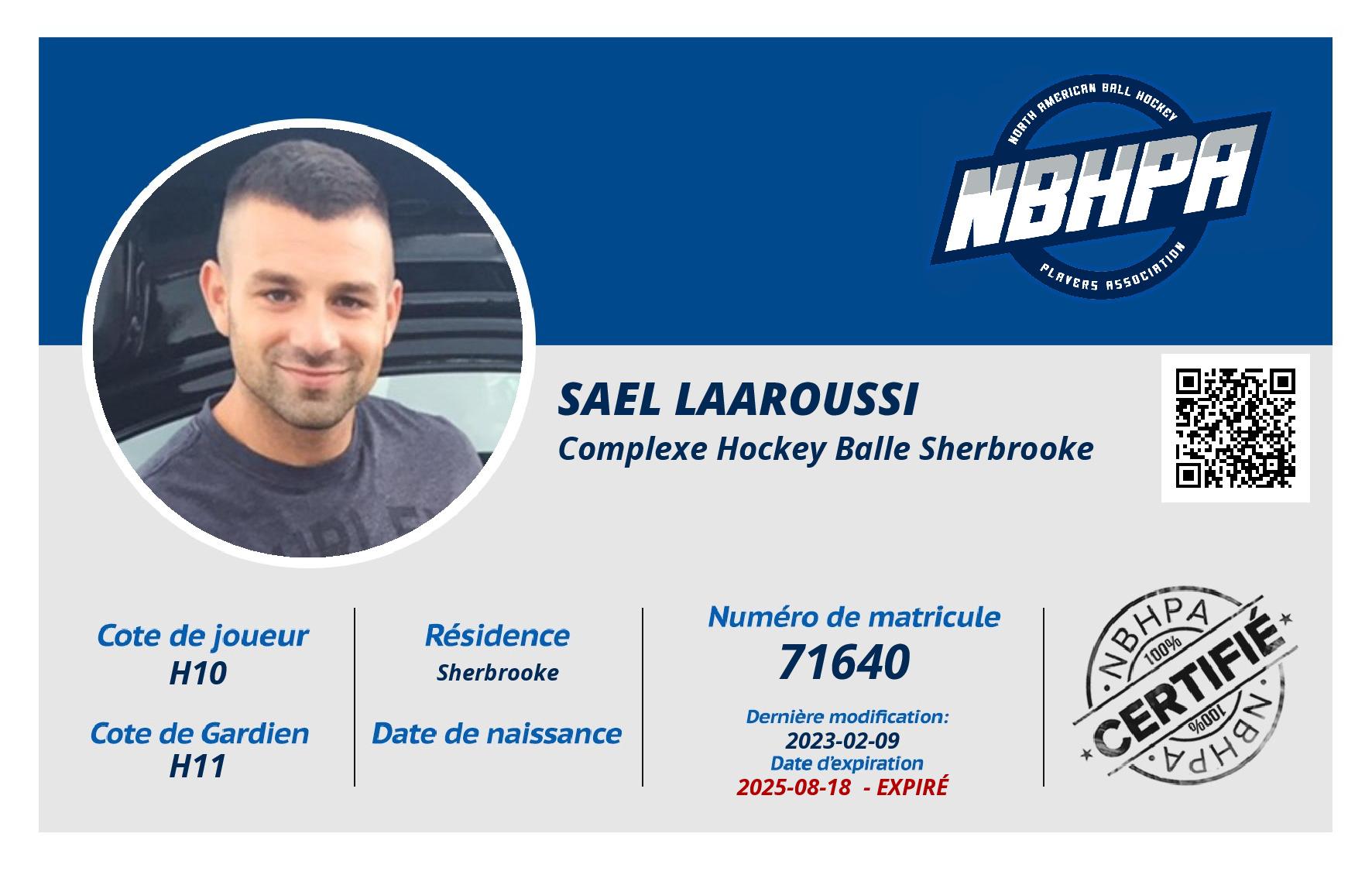 Sael Laaroussi