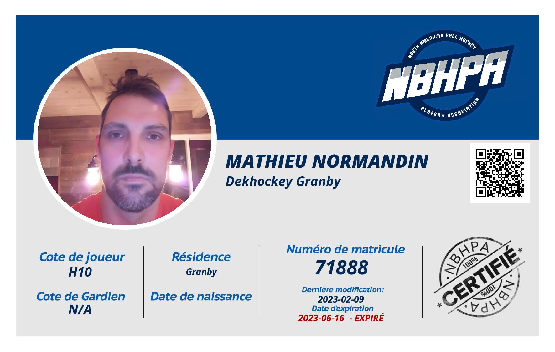 Mathieu Normandin