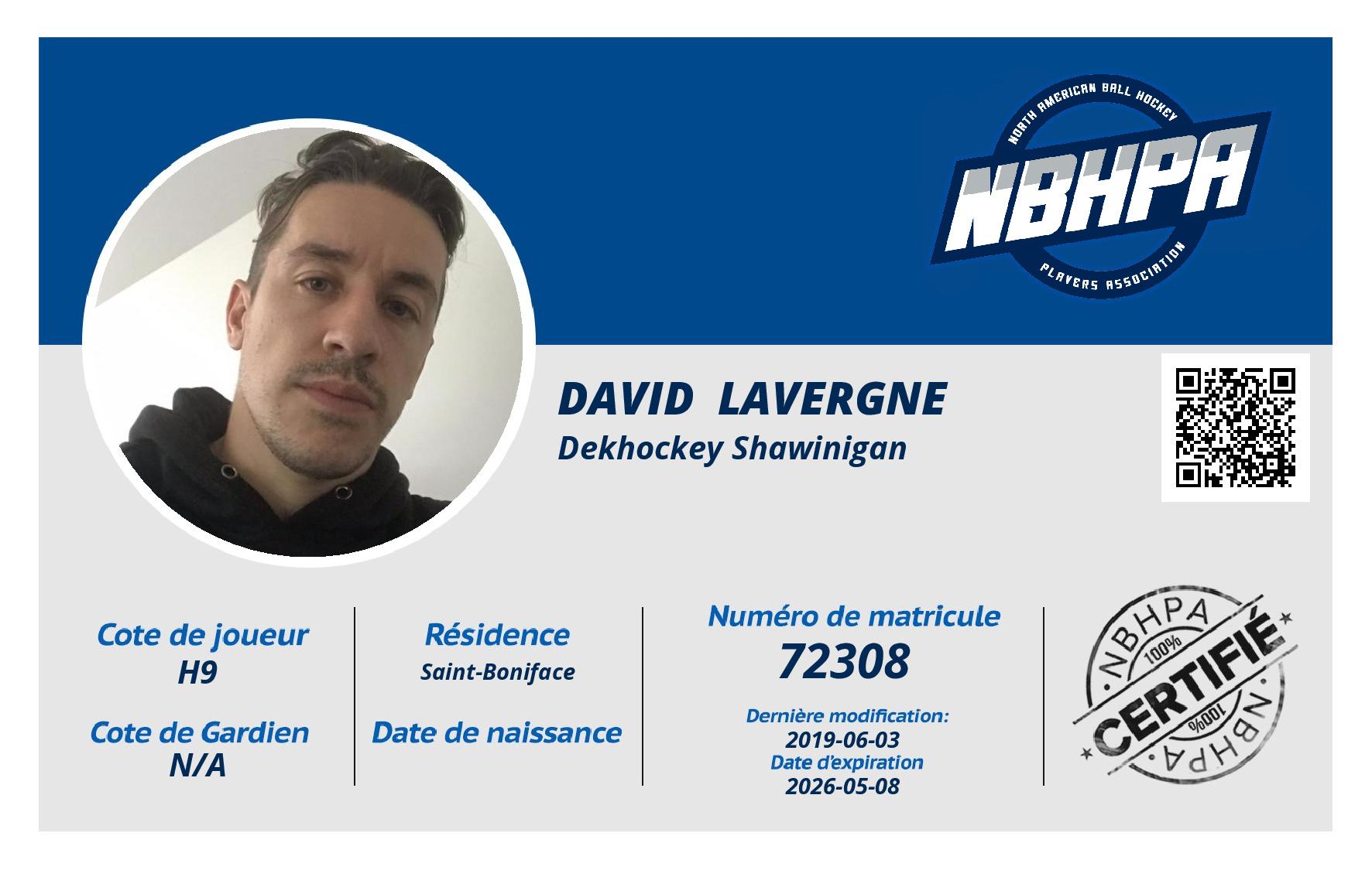 David  Lavergne