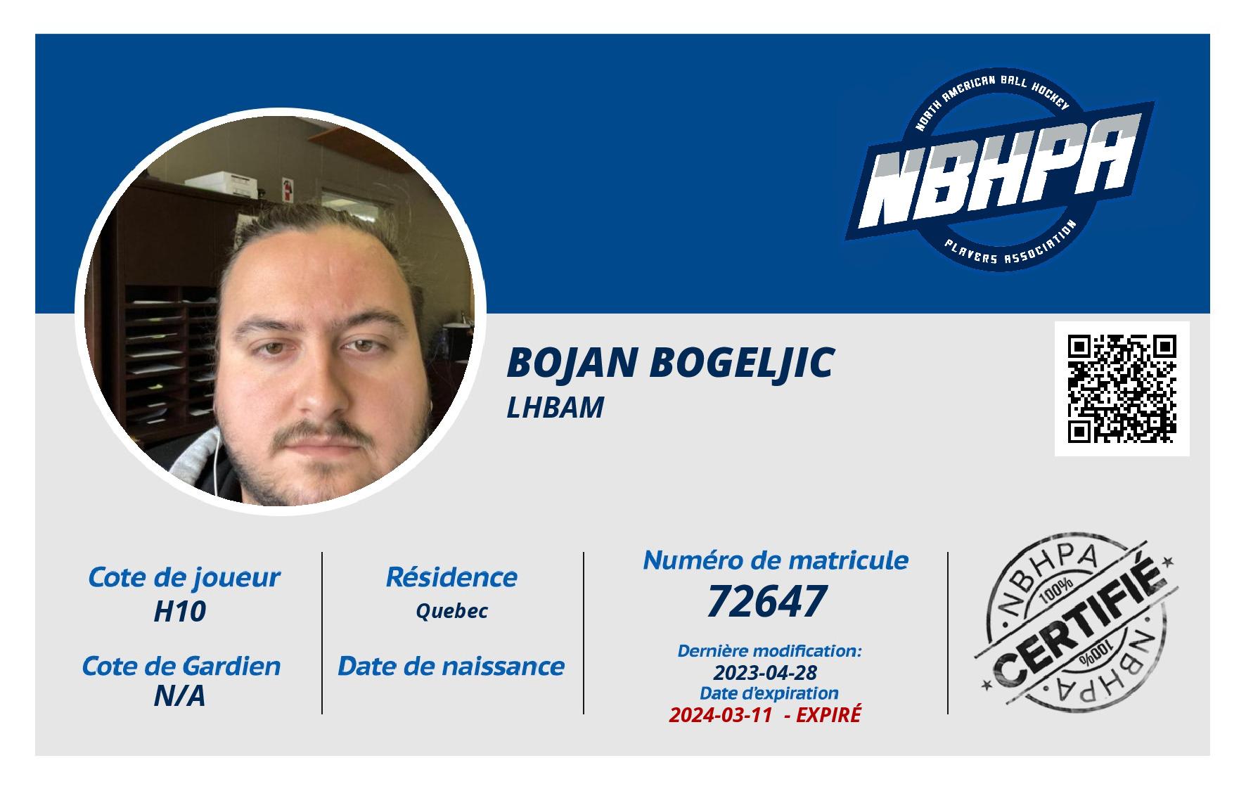 Bojan Bogeljic