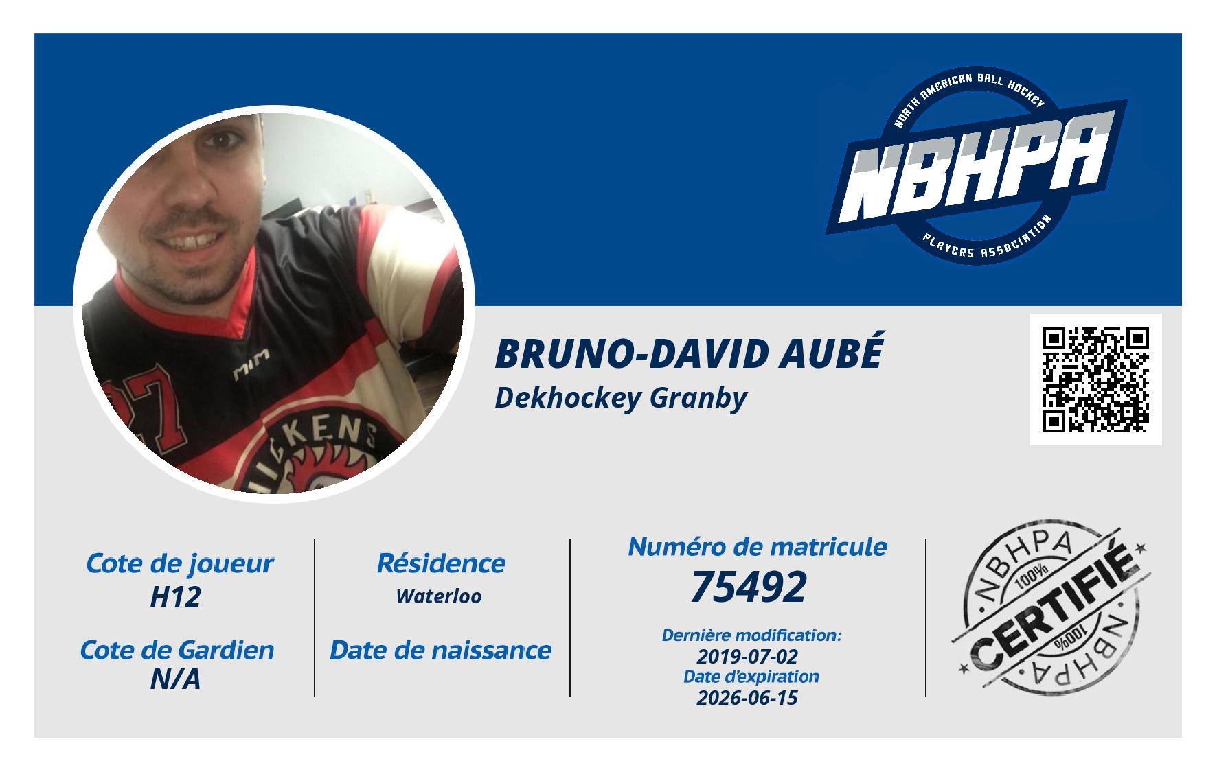Bruno-David Aubé