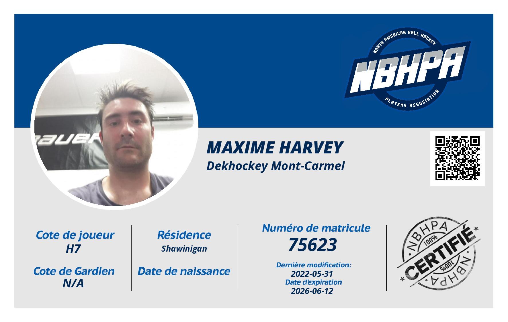 Maxime Harvey