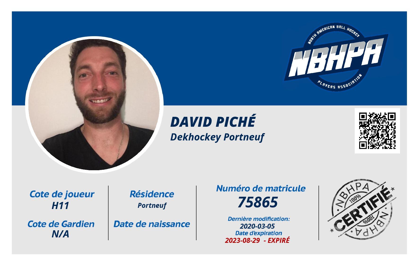 David Piché