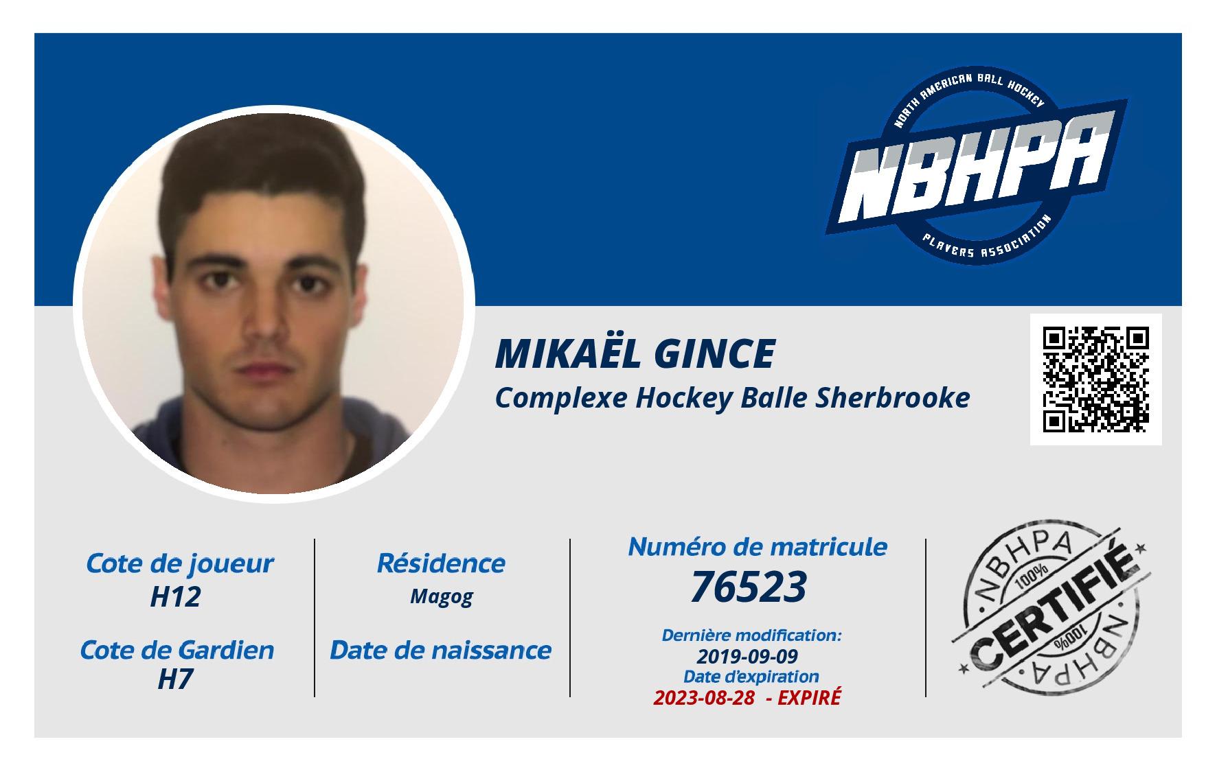 Mikaël Gince