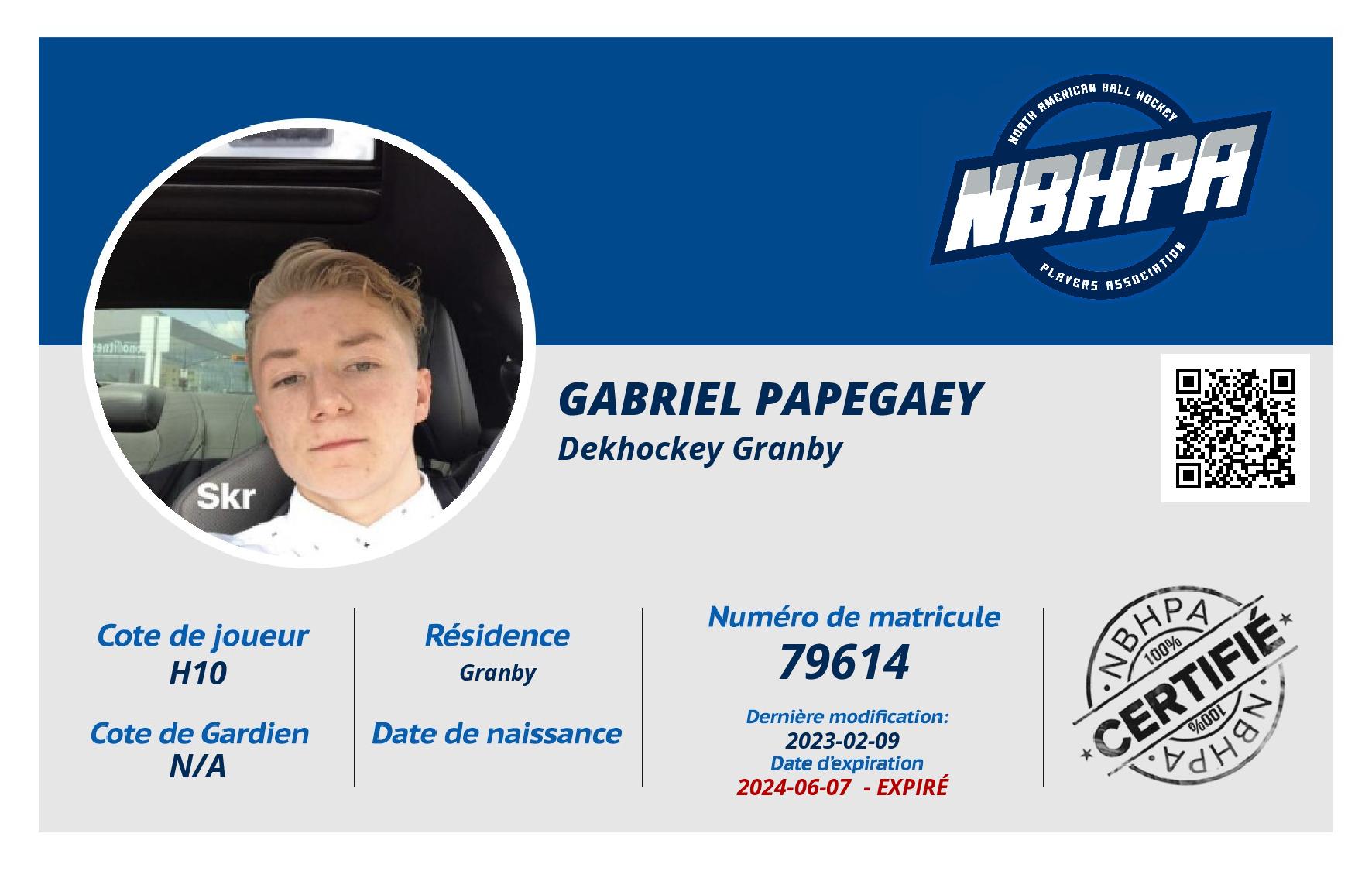 Gabriel Papegaey
