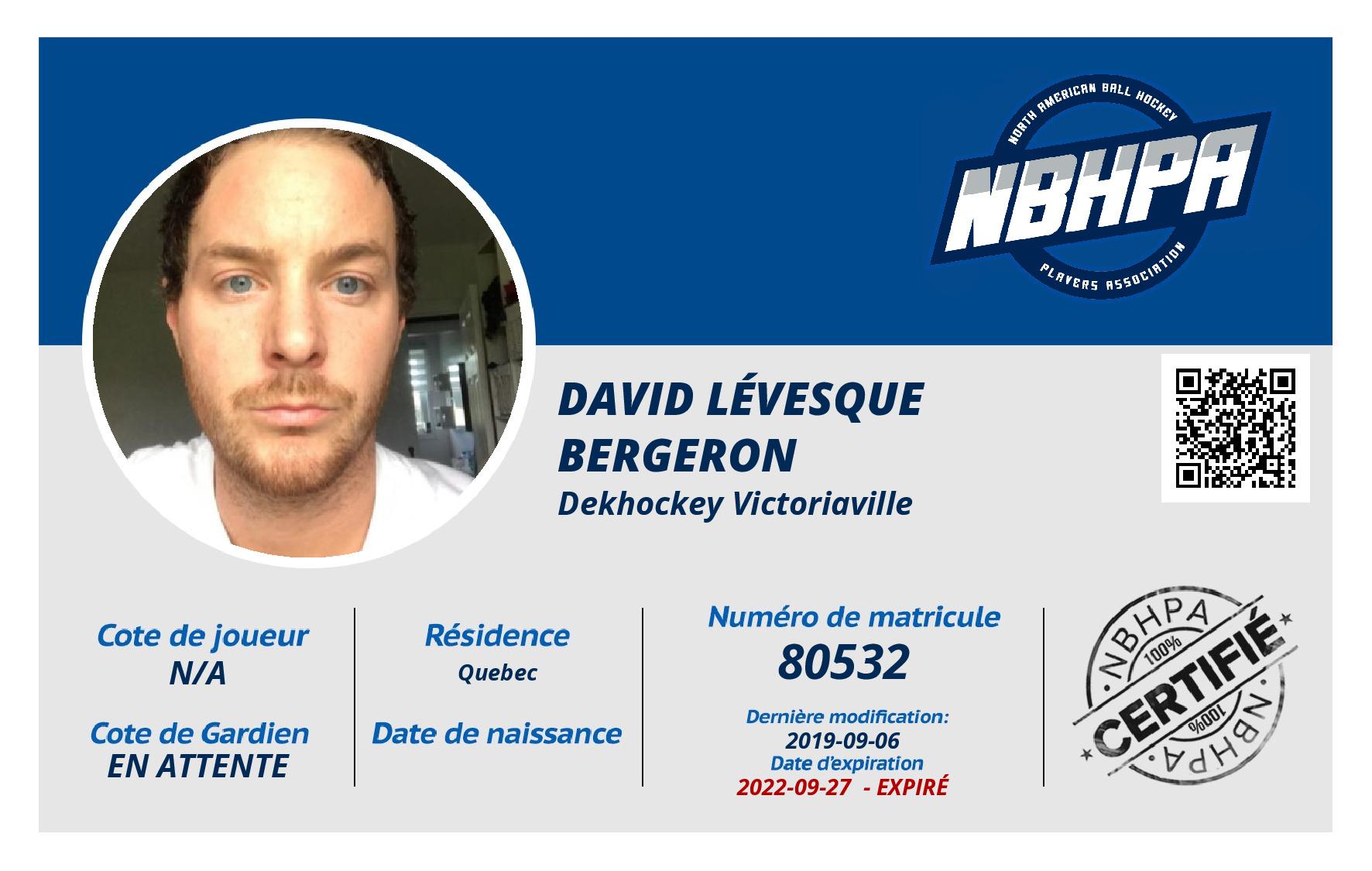 David Lévesque Bergeron