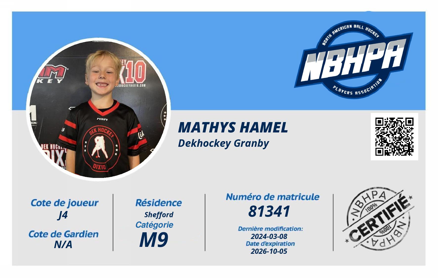 Mathys Hamel