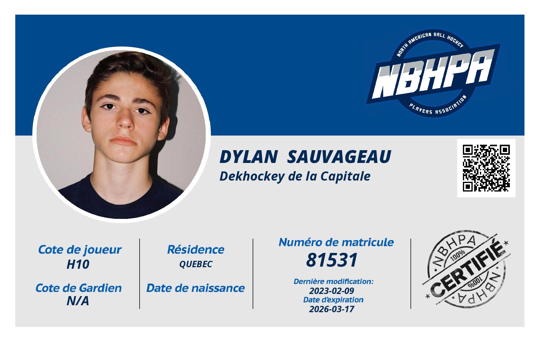 Dylan  Sauvageau