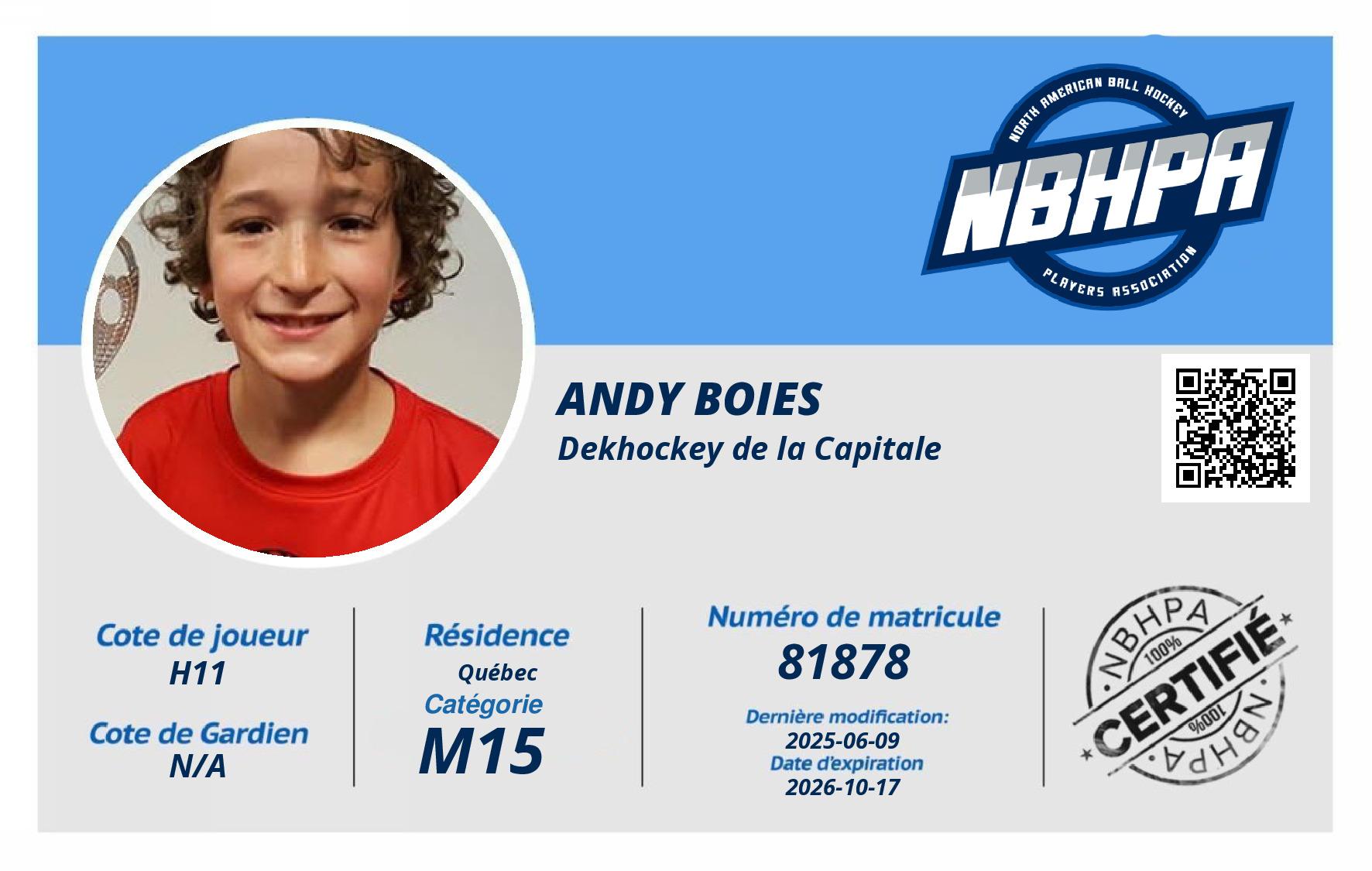 Andy Boies