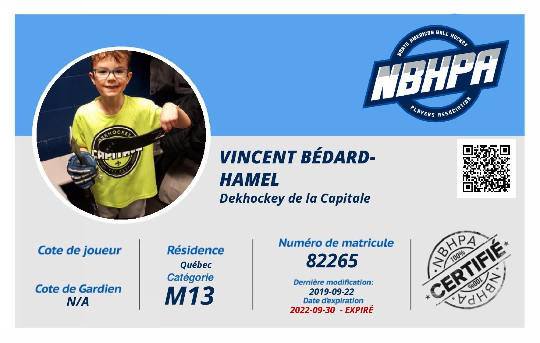Vincent Bédard-Hamel