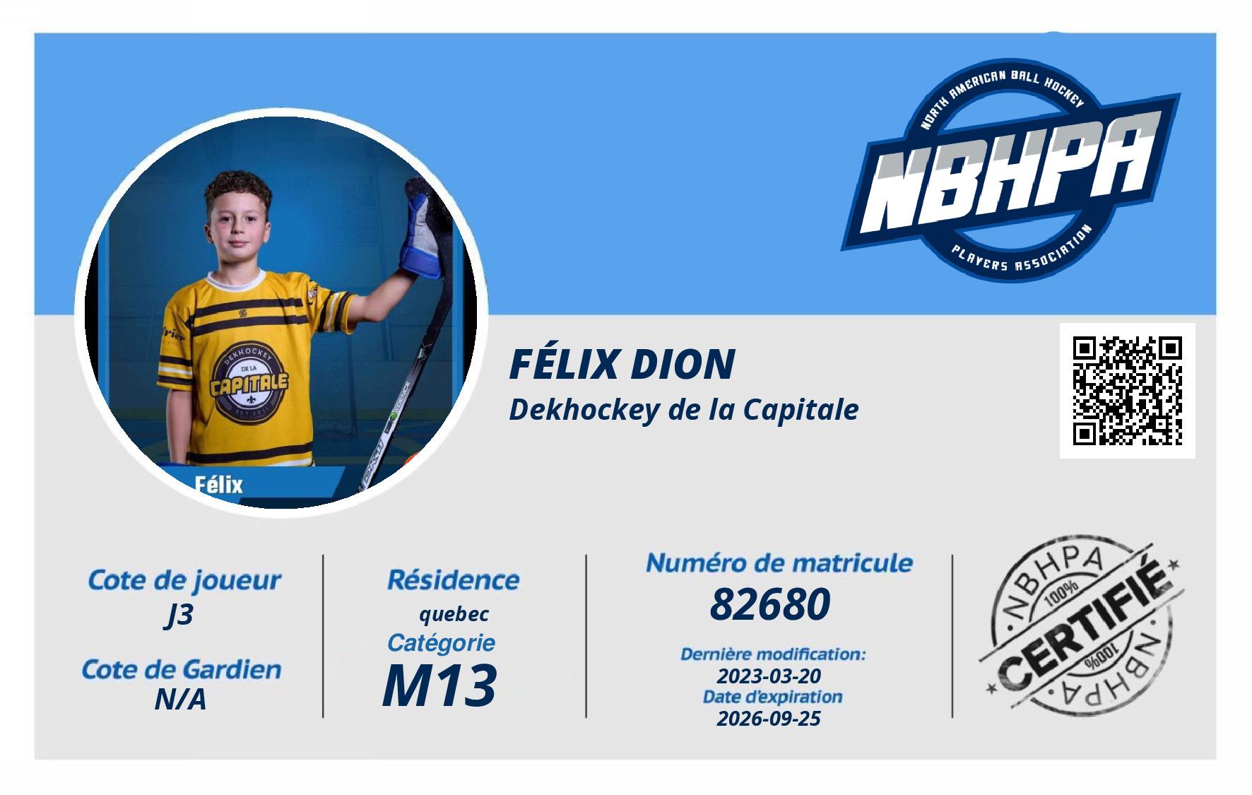 Félix Dion